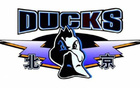 京隊(duì)季后賽命中率超五成，三分效率高，搶前場(chǎng)籃板20+。