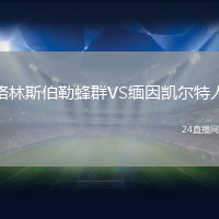 格林斯伯勒蜂群VS緬因凱爾特人