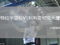 特拉華藍衫VS科利奇帕克天鷹