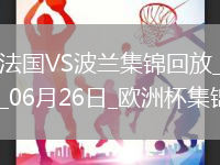 歐洲杯小組賽D組第3輪法國vs波蘭片段