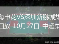 中超第29輪上海申花vs深圳新鵬城進球視頻