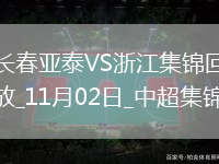 11月02日中超第30輪長春亞泰vs浙江進球視頻