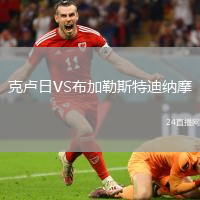 克盧日VS布加勒斯特迪納摩