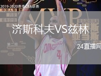 濟斯科夫VS茲林