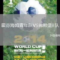 霍芬海姆青年隊VS弗賴堡B隊