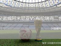 漢諾威阿米尼亞VS布倫瑞克二世