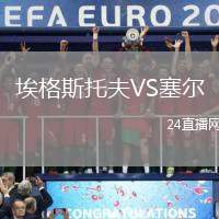 埃格斯托夫VS塞爾