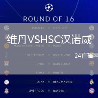 維丹VSHSC漢諾威