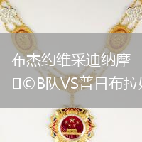 布杰約維采迪納摩B隊(duì)VS普日布拉姆