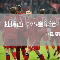 杜博西卡VS塞華諾