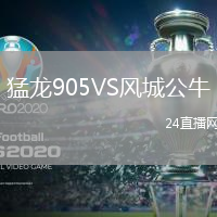 猛龍905VS風(fēng)城公牛
