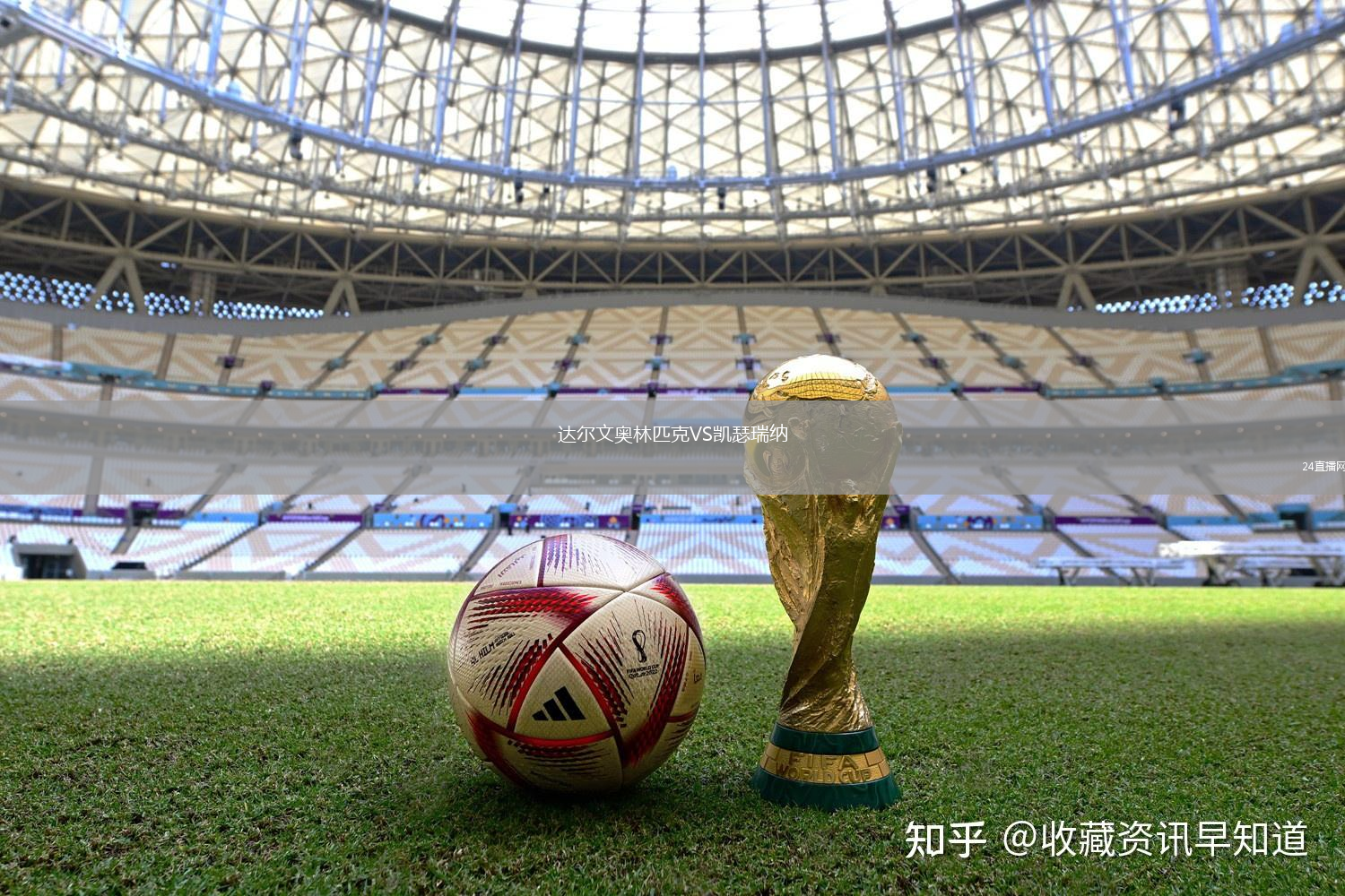 達爾文奧林匹克VS凱瑟瑞納