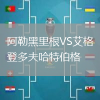 阿勒黑里根VS艾格登多夫哈特伯格