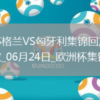 06月24日歐洲杯小組賽A組第3輪蘇格蘭vs匈牙利精彩片段