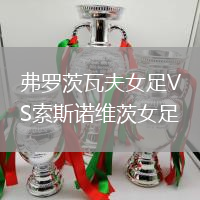 弗羅茨瓦夫女足VS索斯諾維茨女足
