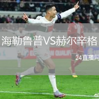 海勒魯普VS赫爾辛格