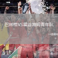 巴林格VS霍芬海姆青年隊(duì)