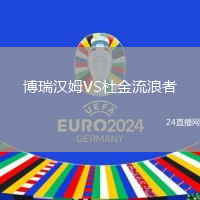 博瑞漢姆VS杜金流浪者