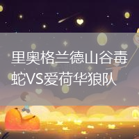 里奧格蘭德山谷毒蛇VS愛荷華狼隊(duì)