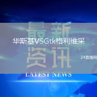 華斯基VSGtk格利維采
