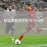 斯文堡格兔子VS哥本哈根