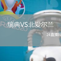 瑞典VS北愛爾蘭
