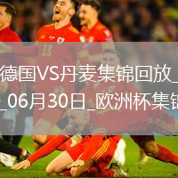 06月30日歐洲杯1/8決賽德國vs丹麥精彩片段