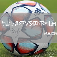 瓦恩格爾VS伊爾利迪