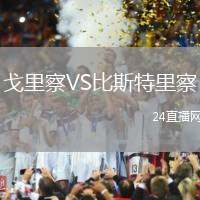 戈里察VS比斯特里察