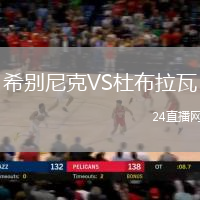 希別尼克VS杜布拉瓦