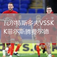瓦爾特斯多夫VSSK菲爾斯騰費(fèi)爾德