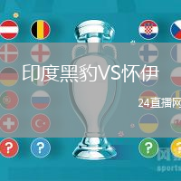印度黑豹VS懷伊