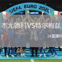 本尤德科VS特爾梅茲