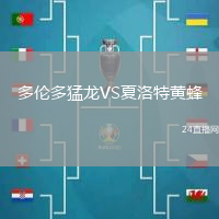 多倫多猛龍VS夏洛特黃蜂