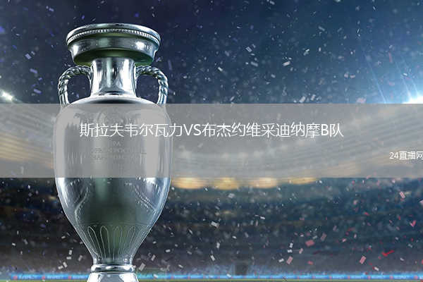 斯拉夫韋爾瓦力VS布杰約維采迪納摩B隊(duì)