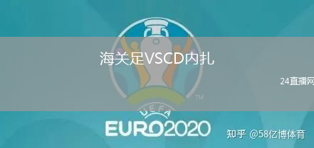 海關(guān)足VSCD內(nèi)扎