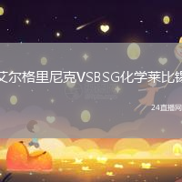 艾爾格里尼克VSBSG化學萊比錫
