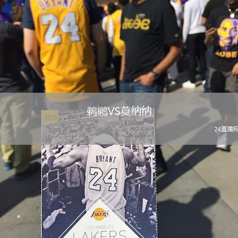鵜鶘VS莫納納