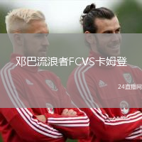 鄧巴流浪者FCVS卡姆登