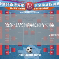 哈爾旺VS施特拉施華爾臣