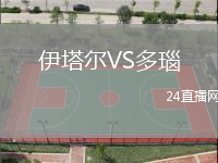 伊塔爾VS多瑙