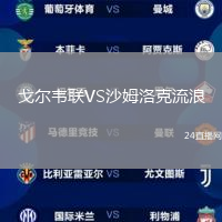 戈爾韋聯(lián)VS沙姆洛克流浪