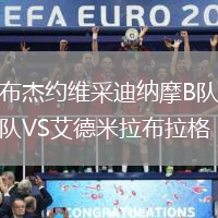 布杰約維采迪納摩B隊(duì)VS艾德米拉布拉格