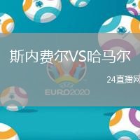 斯內(nèi)費爾VS哈馬爾