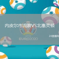 內皮爾市流浪VS北惠靈頓