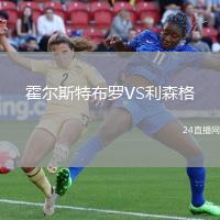 霍爾斯特布羅VS利森格