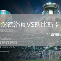 漢德洛瓦VS斯比斯卡