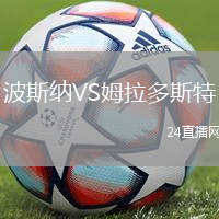 波斯納VS姆拉多斯特