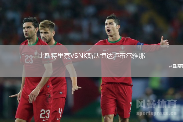 比斯特里察VSNK斯沃博達盧布爾雅那