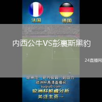 內(nèi)西公牛VS彭裏斯黑豹